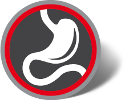 icon03_highfibre (1)